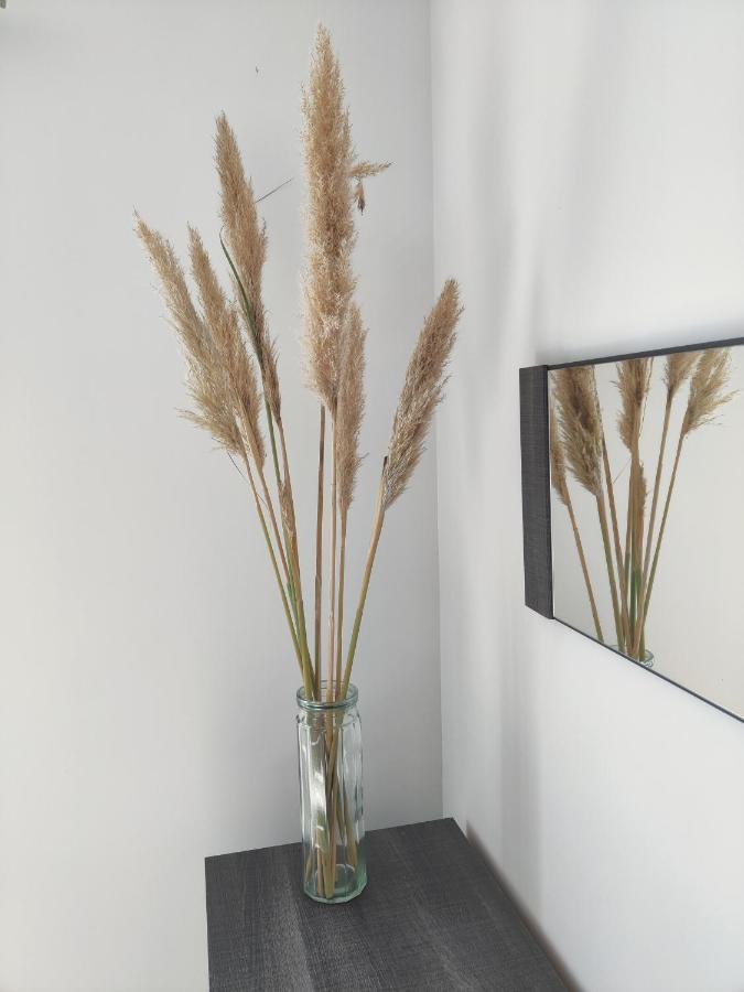 Appartement T3 Plume Hyper Centre D'Ernée Dış mekan fotoğraf